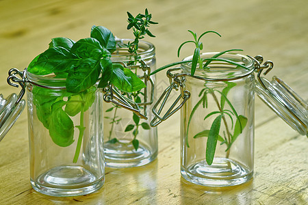 玻璃中的新鲜药草芳香瓶子迷迭香疗法医疗叶子香料药品烹饪康复图片