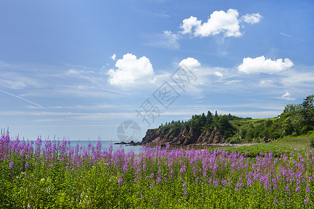 加拿大新不伦瑞克省沿海美景 加拿大图片