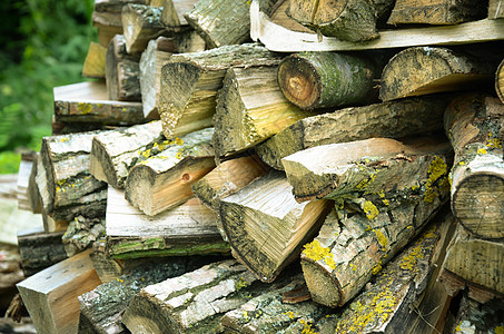 天然木质背景  切碎的木柴特写树干森林资源林业柴堆木材墙纸贮存活力材料图片