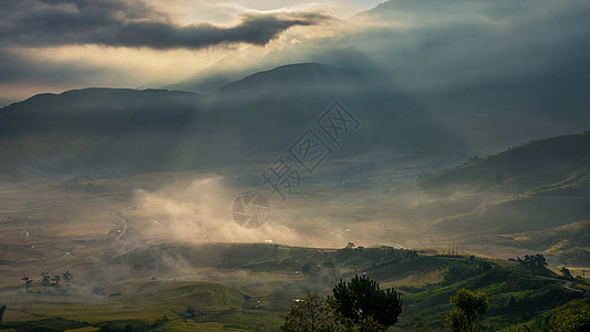 越南Yen Bai的雨季露天田田地上的水稻田 准备在西北越南进行移植成长旅行植物生态曲线控制叶子食物农业日落图片