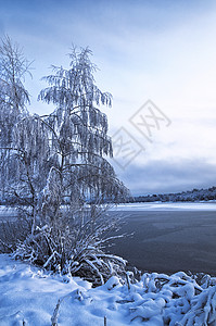 雪后风景冬季风景 树木 盐霜和湖泊覆盖正方形季节荒野孤独旅行寒冷水晶日落仙境场景背景