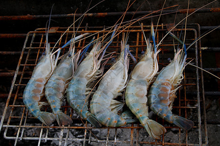 烧烤炉上的虾子营养美食小吃海鲜红色牛扒火焰派对对虾木炭图片