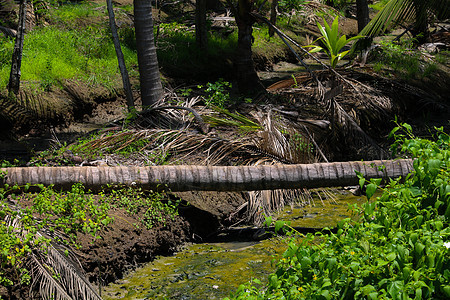干溪流水的陆地景观舷梯损害码头沼泽流动灌溉跑道旅行跑步途径图片