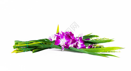 供礼拜的花朵兰花文化旅行绿色宗教紫色花束框架崇拜艺术图片