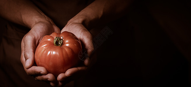 有机水果和蔬菜 农民手握新鲜的胡萝卜果栽培农业园丁饮食采摘园艺工人乡村国家植物图片