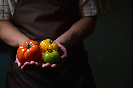 有机水果和蔬菜 农民手握新鲜的胡萝卜果乡村生产园艺花园饮食植物农业生长工人采摘图片