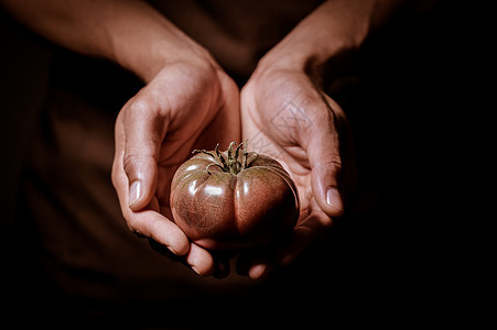 有机水果和蔬菜 农民手握新鲜的胡萝卜果采摘工人园丁收成营养男人花园生产植物栽培图片