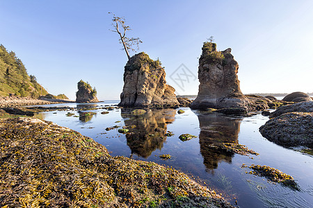 Garibaldi俄勒冈海岸三恩典图片