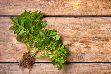 木制桌上的绿色贝壳毛巾芳香烹饪营养树叶厨房草本植物美食叶子木头图片