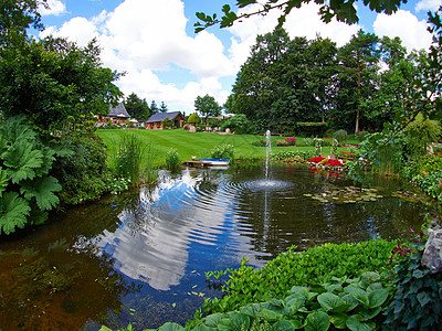 花园中的自然池塘和喷泉瀑布水池后院公园吸引力植物群场景植物乡村住宅图片