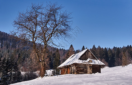 冬季清雪的牧草小屋图片