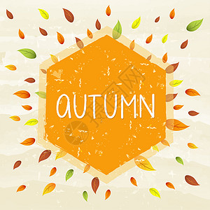 深灰色标签边框秋天的边框 有树叶 横幅背景