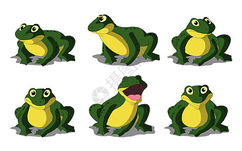 绿青蛙孤立于白色背景图片