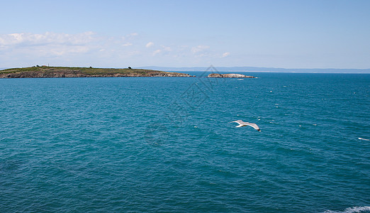 海鸥在远处飞越海面和岛屿上空飞行图片