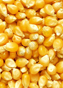 玉米纹理烹饪宏观食物爆米花盘子植物棒子小吃生产种子图片