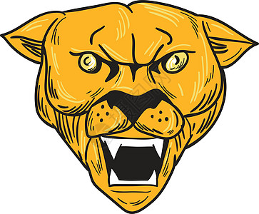 愤怒的美洲狮山狮子头插图墨水大猫动物草图艺术品手工猫科狮子画线图片