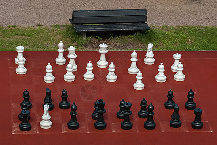 大型户外象棋典当草地游戏绿色国王黑色运动红色娱乐公园图片