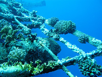 沉船碎裂 底底有珊瑚礁珊瑚 水下图片