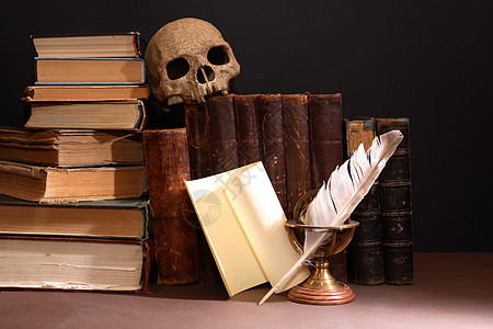 旧书和史库尔艺术科学诗歌小说智慧收藏阅读古董文学颅骨图片