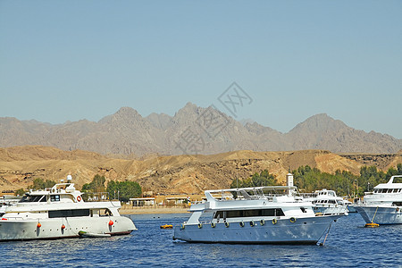 位于自然保护区沙姆沙伊赫的游艇图片