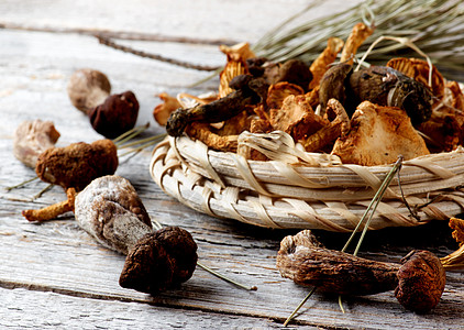 干燥蘑菇安排纹理棕色素食者生食食用菌灰色美食家健康饮食背景森林图片