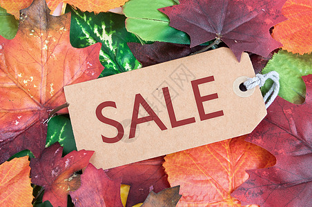 秋季销售礼物叶子广告标签购物折扣季节性树叶价格商业背景图片