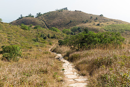 森林中的公路树木松树季节旅行林地植物风景天空城市男人图片