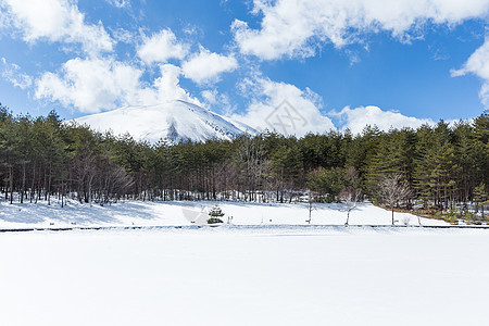 雪中冬季公园蓝色季节场地大路天气曲目场景国家天空暴风雪图片