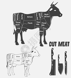 英国的牛肉 牛肉或动物图表肉切片图片