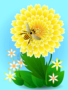 黄花上的蜜蜂采集蜂蜜和花粉 韦克托图片