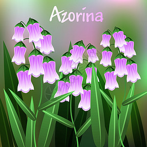 美丽的 Azorina 花的插图 树枝上有绿叶 韦克托图片