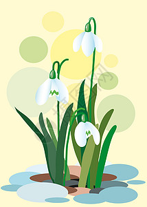 抽象背景上的雪花莲 春天的插图 花的插图 春天 韦克托图片