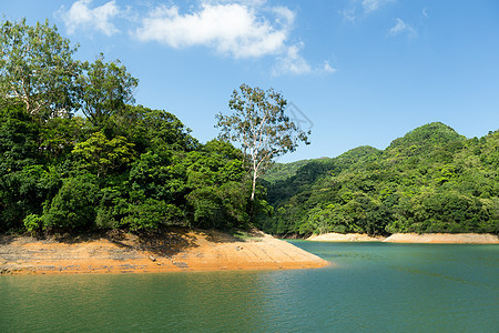 储藏和森林蓝色池塘太阳草地公园反射场景灌木丛树木场地图片