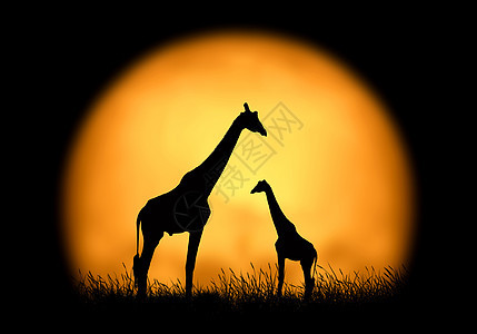 日落背景的长颈鹿Silhouette图片