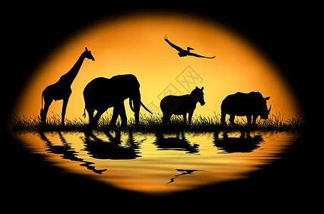 日落背景下的非洲动物席丽休埃特镜子团体家庭大草原太阳荒野旅游收藏哺乳动物天空图片