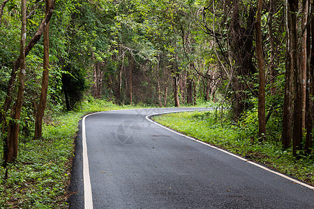 泰国森林中的公路自由国家场景地平线公园驾驶日落晴天天空街道图片