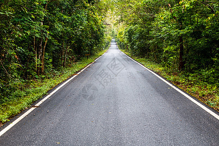 泰国森林中的公路风景蓝色农村场景自由运动日落旅行环境晴天图片
