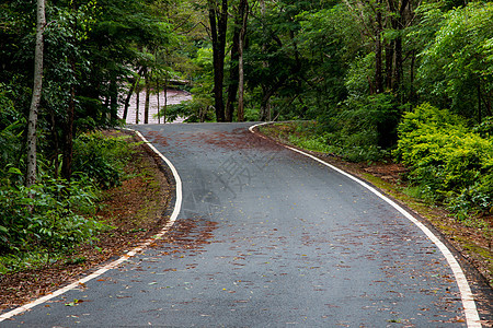 泰国森林中的公路驾驶国家自由运动风景蓝色晴天日落速度环境图片