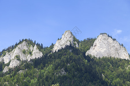 波兰皮涅尼山三王马西夫Piennyy的景象地块树木峡谷风景公园岩石晴天国家森林皇冠图片