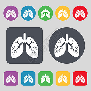 肺部图标符号 一组有12色按钮 平面设计 矢量气管实验室艺术生物学结核捐赠者器官身体解剖学呼吸图片