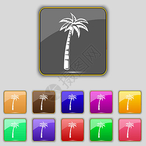 棕榈图标符号 设置您网站的11个彩色按钮 矢量图片