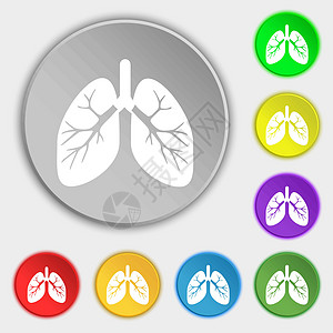 肺部图标符号 8个平板按钮上的符号 矢量插图药品解剖学气管生物学结核呼吸器官支气管肺炎图片