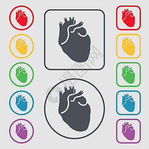 人类的心脏图标标志 带有框架的圆形和方形按钮上的符号 韦克托图片