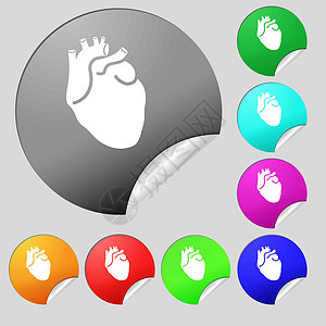 人类的心脏图标标志 一套八个多色圆形按钮贴纸 韦克托图片