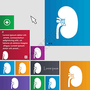 Kidney 图标符号 按钮 带有光标指针的现代界面网站按钮 Victor图片