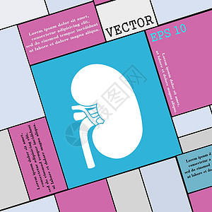 肾脏图标符号 您设计时的现代平板风格 矢量图片