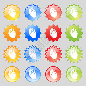 人类心脏图标符号 大套16个色彩多彩的现代按钮用于设计 矢量图片
