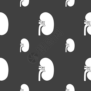 肾脏标志 灰色背景上的无缝模式 韦克托捐赠者药品失败菜单插图标签邮票生物学器官科学图片