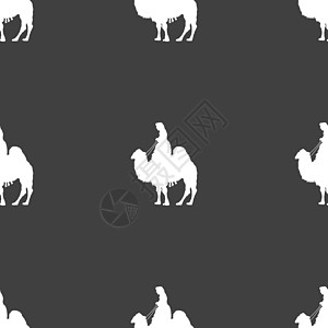 骆驼标志 灰色背景上的无缝模式 韦克托大篷车骑术荒野驼峰沙丘旅游沙漠气候动物座头鲸图片