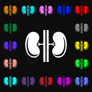 肾脏图标符号 您设计时有许多多彩的符号 矢量图片